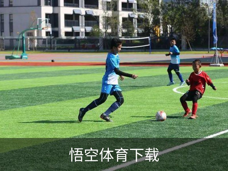 关于悟空体育下载